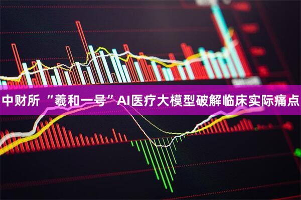 中财所 “羲和一号”AI医疗大模型破解临床实际痛点