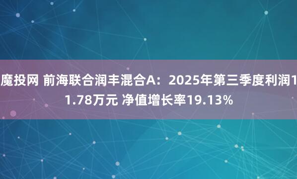 魔投网 前海联合润丰混合A：2025年第三季度利润11.78万元 净值增长率19.13%