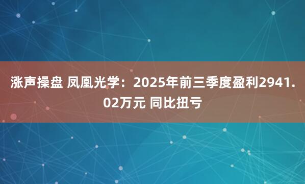 涨声操盘 凤凰光学：2025年前三季度盈利2941.02万元 同比扭亏
